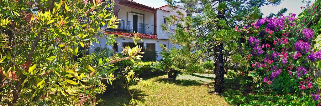 ホテル Casa Cigliano Forio di Ischia エクステリア 写真